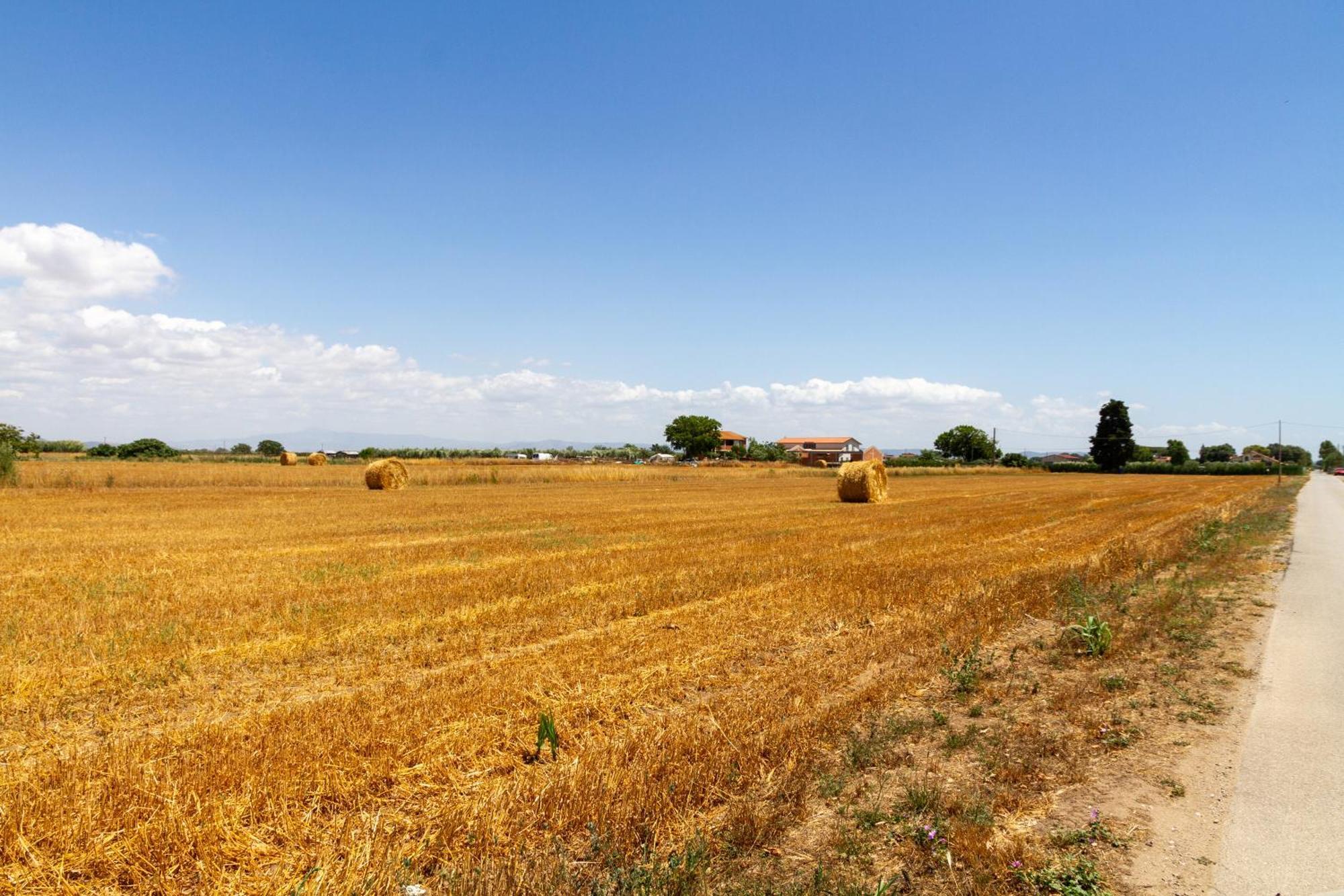 Trilo Dalia Βίλα Marina di Grosseto Εξωτερικό φωτογραφία